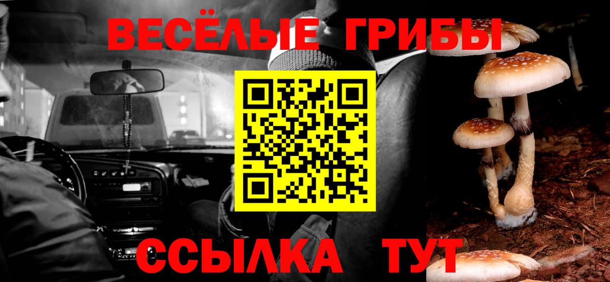 купить закладку  Псилоцибиновые грибы Magic Shrooms  Вход с VPN  Пушкино  Галлюциногенные грибы мухоморы 